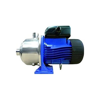 Pompa sommergibile per acque sporche LOWARA 0.75 HP 550 W